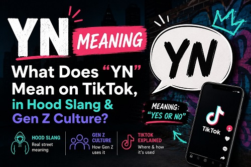 YN Meaning Slang
